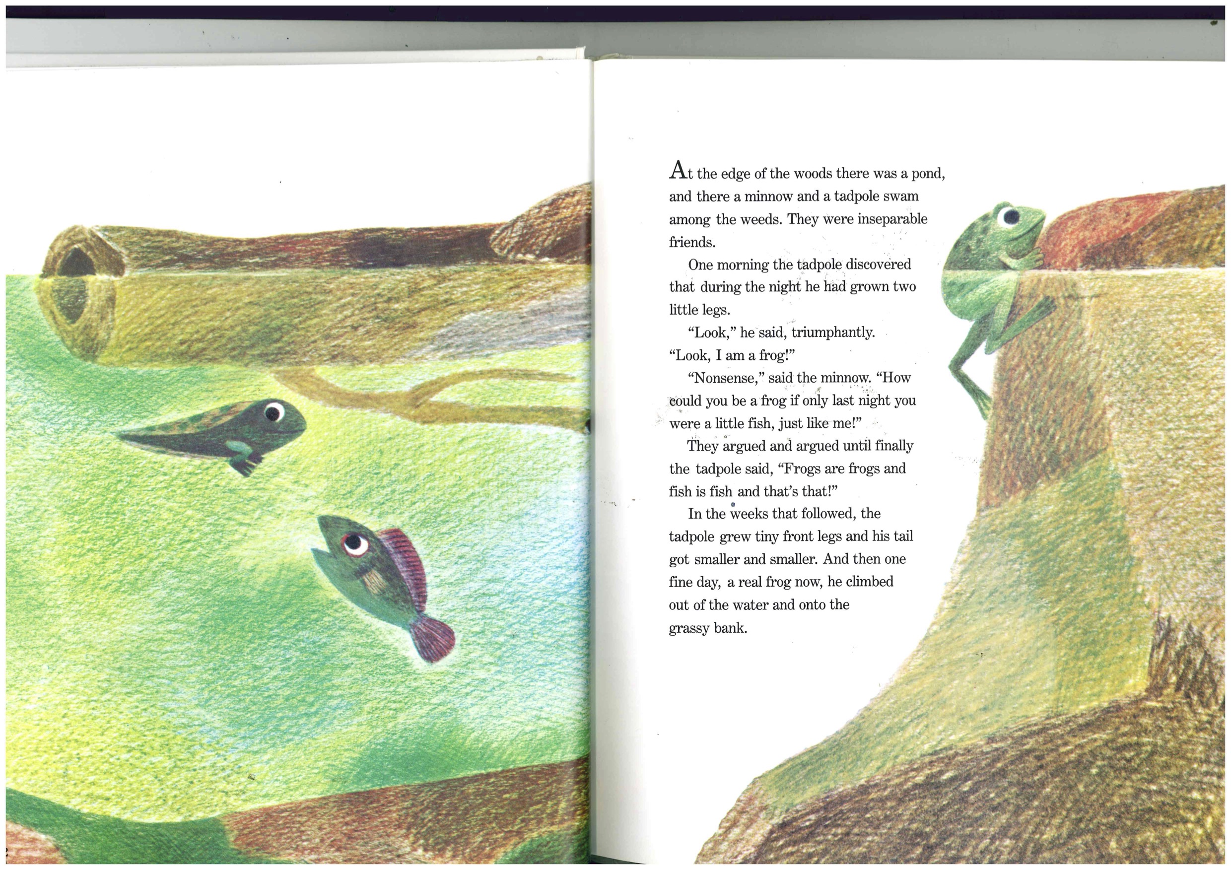 p.12-13 At the edge of the woods there was
    a pond, and there a minnow and a tadpole swam among the weeds. They were
    inseperable friends.